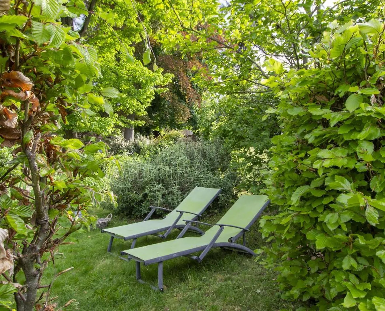 La Bastide Des Roses Villa Holiday home La Bastide-sur-l'Hers
